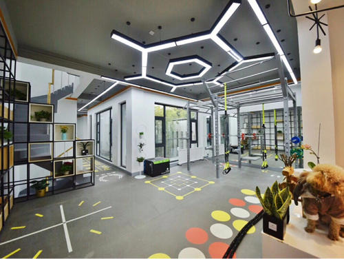 「工作室加盟」健身工作室加盟需要多少錢|投資費用標(biāo)準(zhǔn)